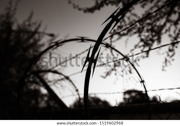 circular barbed wire