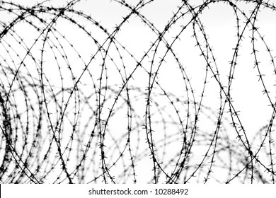 circular barbed wire