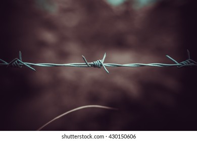 barbed wire close up background. 