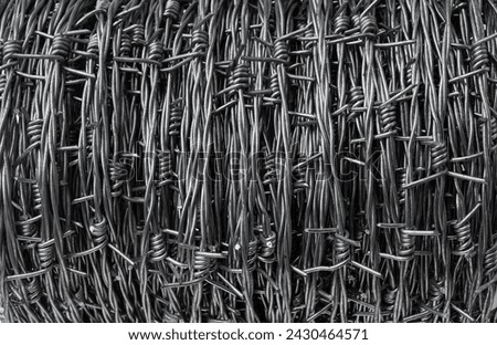 Barbed wire close-up for creating property protection fences and marking territory boundaries. 