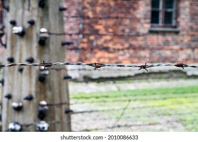 barbed wire in concentration camp
