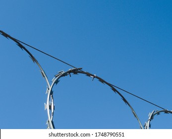 Barbed Wire And Concertina Wire