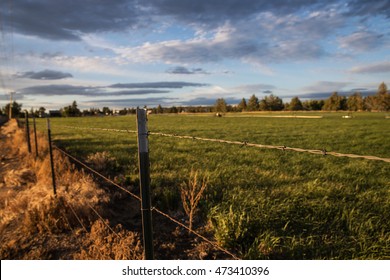 Barbed Wire Fence