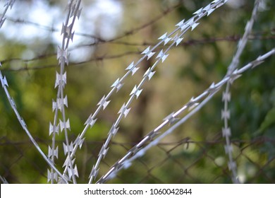 Barbed Wire Fence Black White Vector Stock Vector (Royalty Free ...