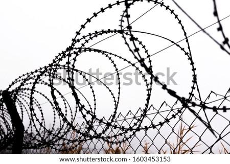 Fence with a barbed