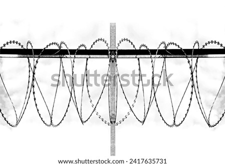 Barbed wire fence background isolated from background, white background. Design elements of military, security, prison, slavery concepts