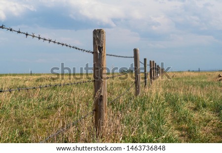 
Barbed wire fence with blue cloudy skies bordering farm property in the prairies wild grass of alberta  
