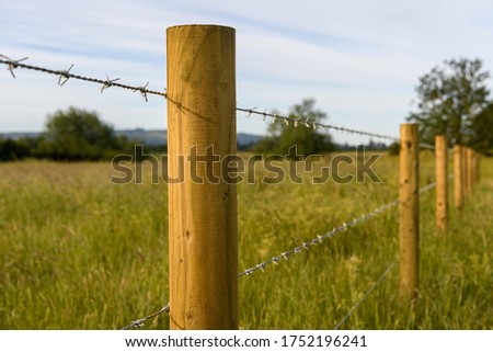 Barbed wire fence in the countryside