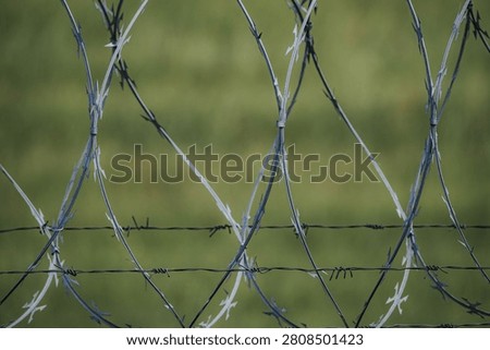 Barbed wire fence features sharp spikes and twisted strands, positioned in front of a blurred green grass background, emphasizing security and separation