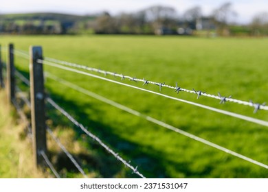 Barbed wire fence at a field - Powered by Shutterstock