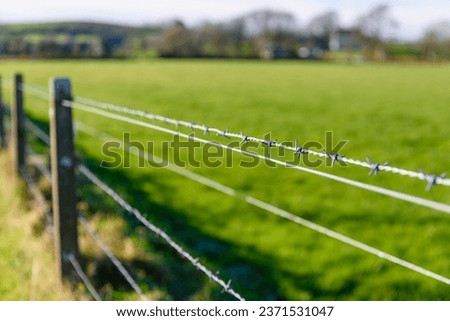 Barbed wire fence at a field
