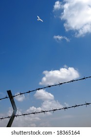 Barbed Wire Fence And Flying Bird Over Clear Sky