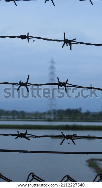 Barbed wire
fence in the garden, selective
focus
