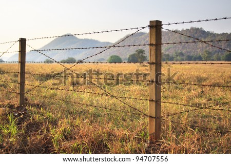 Barbed wire fence and grass field