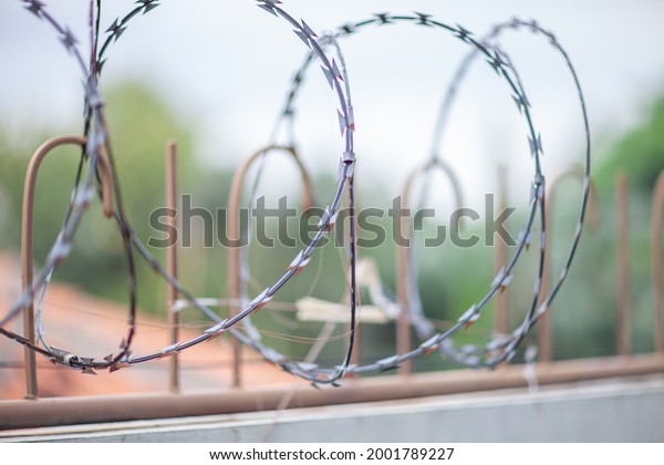 Barbed wire fence for house divider for
environmental safety