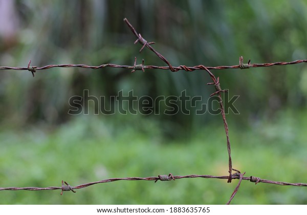 The barbed wire fence is a material that\
consists of two wrapped wire strands that, in its extension, form\
sharp barbs divided into four piercing\
ends