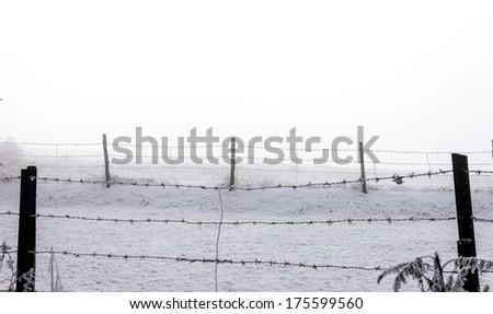 Similar – Image, Stock Photo My garden fence. Landscape