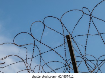 Barbed Wire Fence Near The Korean Demilitarized Zone
