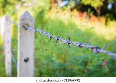 Barbed wire fence in overgrown plant or garden