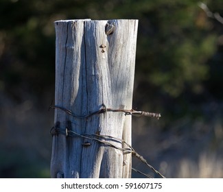 barbed wire fence post - Shutterstock ID 591607175