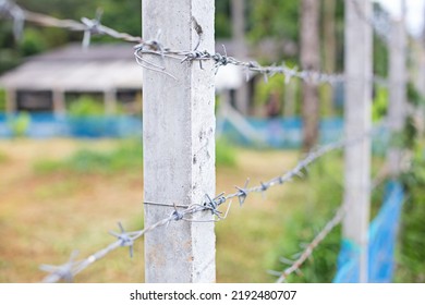 barbed wire fence posts image focusing on pillar - Powered by Shutterstock