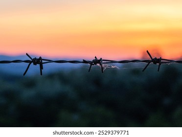 Barbed wire fence with a spider web in a colorful background - Powered by Shutterstock