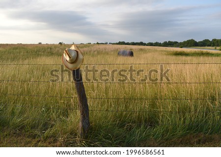 Barbed wire fence with a straw cowboy hat in a hay field