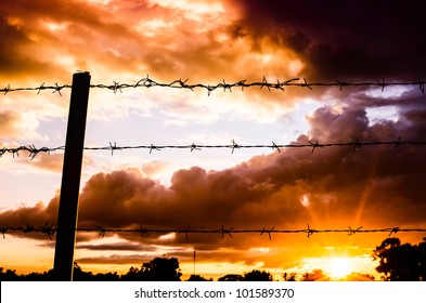 Barbed wire fence and the sun in farmland