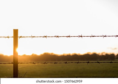 A Barbed Wire Fence At Sunset