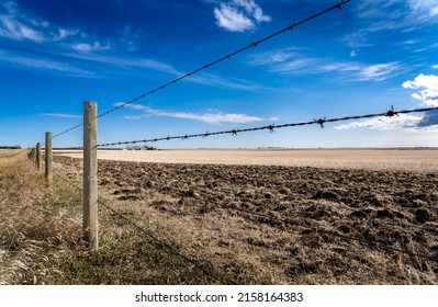 A barbed wire fence with wooden fence posts standing next to an agriculture plowed wheat field on the Canadian prairies in Rocky View County Alberta.