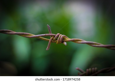 Barbed Wire Fencing And Blur Background, Selective Focus On Subject.