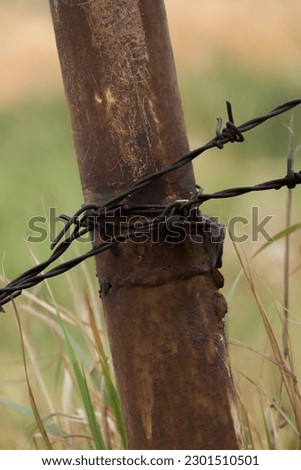barbed wire field in the background. rusty barbed wire. Old barbed wire fence. rusty metal pole with barbed wire.
