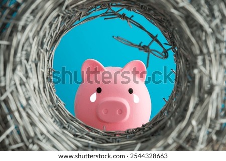 Barbed wire in front of crying pink piggy bank. Personal financial crisis, broken home finance, savings risk management, loss investment, debt problem, stress emotion and so on concept.