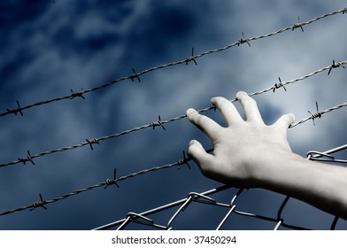 Barbed Wire And A Hand