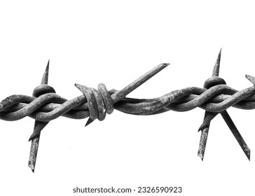 Barbed wire isolated on transparent background