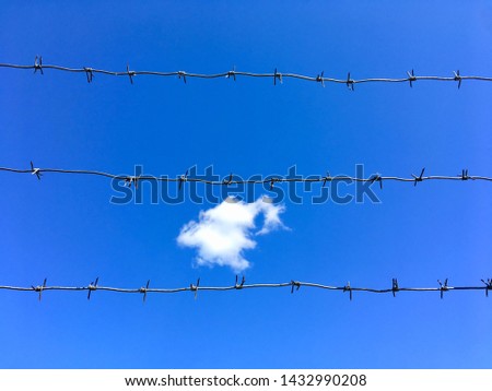 barbed wire line against a blue sky during the daytime