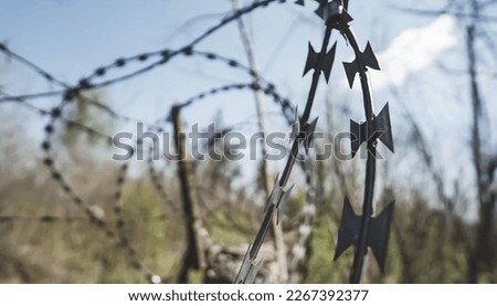 Barbed wire in macro on an old fence in the afternoon, sunny spring day