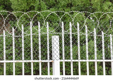 Barbed Wire And Metal Fence At The Entrance To Prison Or Military Base. Safety And Freedom Concept