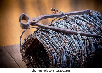 Barbed Wire And Old Cutter