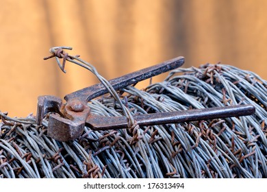  Barbed Wire And Old Cutter