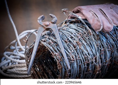 Barbed Wire And Old Cutter