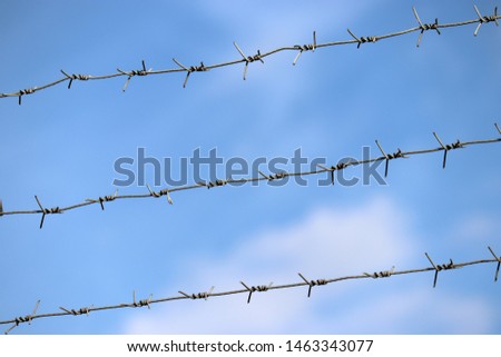 Barbed wire on background of blue sky and white clouds. Concept of boundary, prison, war or immigration
