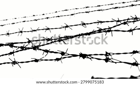 Barbed wire on the background of the gray sky. Closeup prohibited forbidden zone