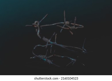 Barbed wire on the black background - Shutterstock ID 2160104523