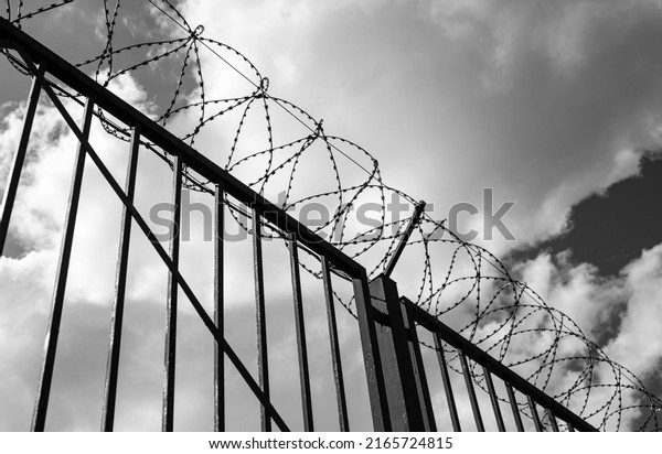 The Barbed wire\
on a black and white fence. Fence on the border of the country.\
Protected area with barbed\
wire.