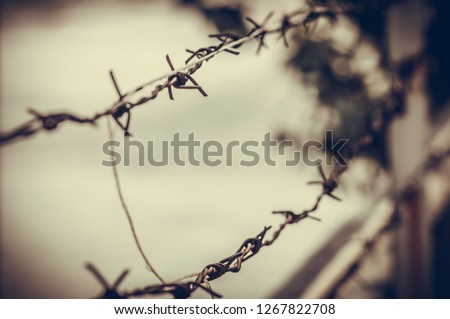 Barbed wire on a blur background