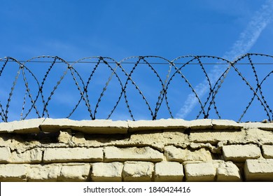 Barbed wire on a brick wall. Concertina coil on a background of blue sky. Bottom view.