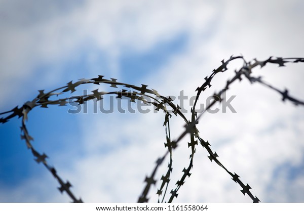 Barbed\
wire on fence against blue sky. Wired fence with rolled barbed\
wires. Concept of freedom, silent and lonelyness.\
