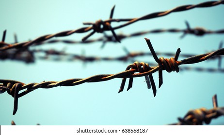 Barbed wire. Barbed wire on fence with blue sky to feel worrying.