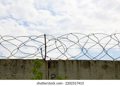 Barbed wire on the fence. Fencing stainless steel Barb Wire with sharp edges on a massive concrete wall for security on the background a blue sky. Barbwire on the prison fence. Military barbwire fence
